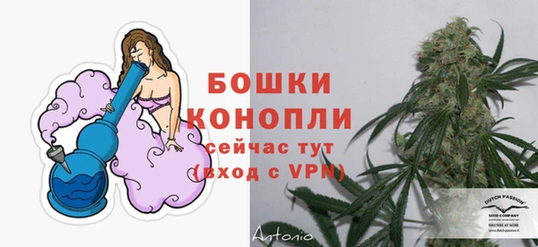 ГАЛЛЮЦИНОГЕННЫЕ ГРИБЫ Няндома