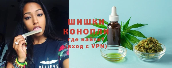 ГАЛЛЮЦИНОГЕННЫЕ ГРИБЫ Няндома