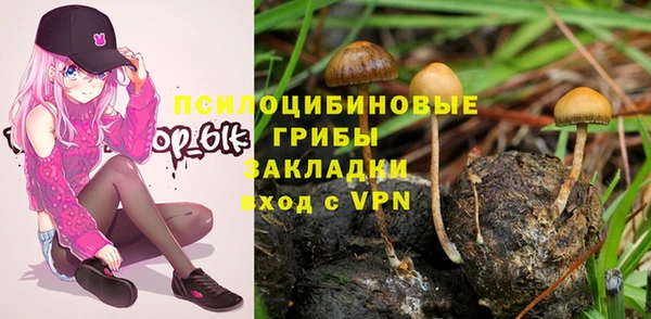 винт Нязепетровск