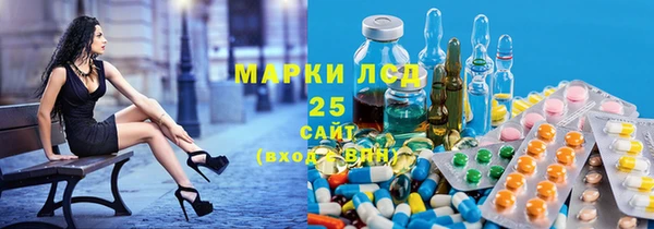 СК Новозыбков