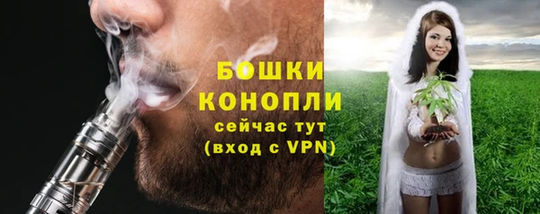 ГАЛЛЮЦИНОГЕННЫЕ ГРИБЫ Няндома