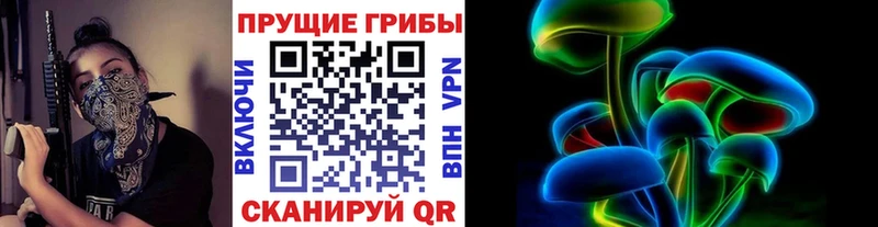 Псилоцибиновые грибы Cubensis  Кириши 